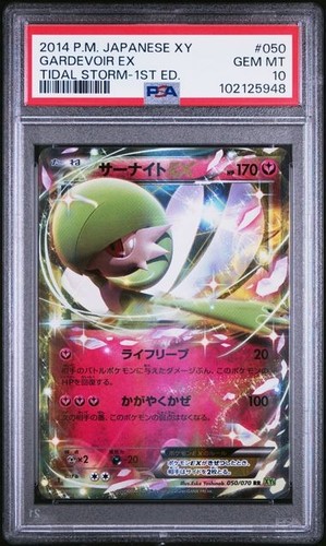 2014 pokemon japanese tidal - japanese, xy