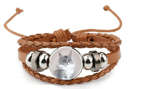 Maine coon grey cat pet - maine, brown