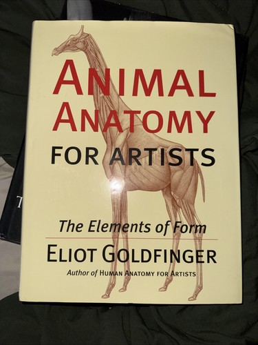 Animal anatomy for - anatomy, artists
