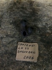 Chatenet barooder ch22 2006 - barooder,