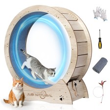 Ruota esercizio gatto - esercizio,