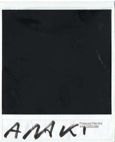 Polaroid araki nobuyoshi - 4,