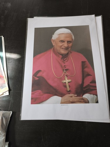 Foto papa benedetto - foto,