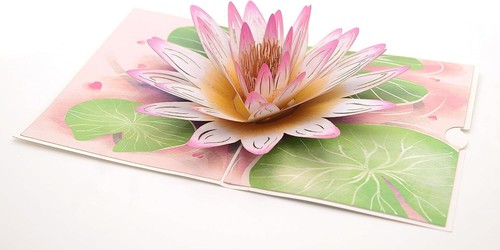 Ninfea giardino pop up - ninfea,