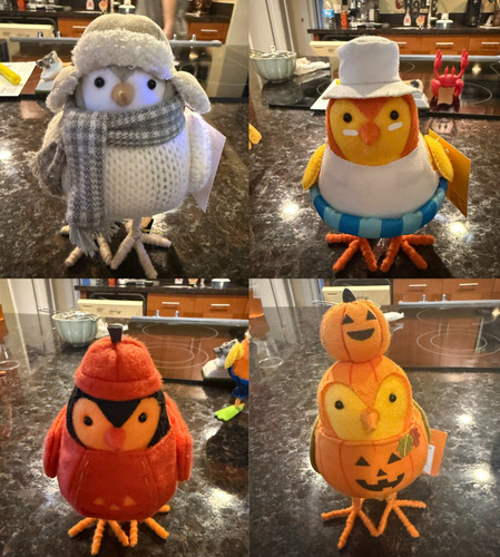 Target birds spritz - target, hyde