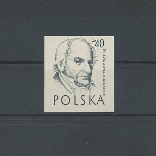 Polonia stampa nera 1958 black - polonia,