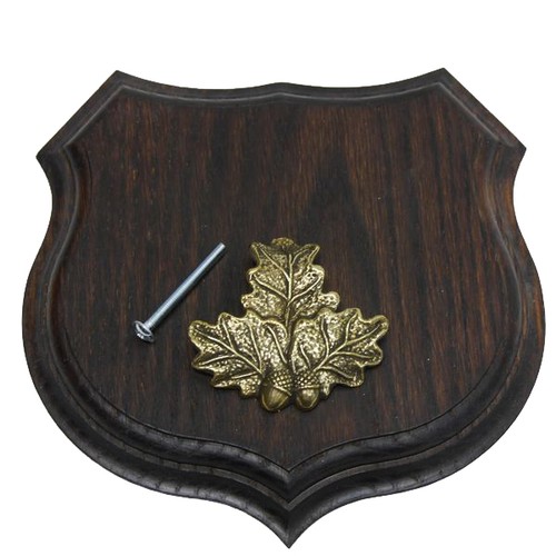 Targa stemma cinghiale scudo - stemma,