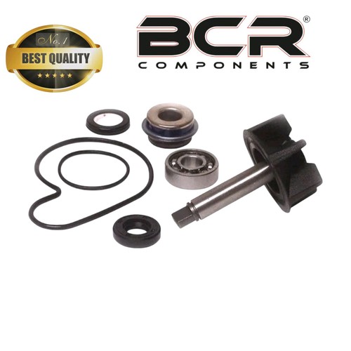 Kit revisione pompa acqua - revisione,