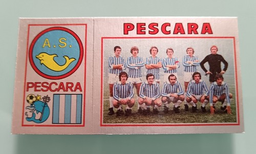 Pescara scudetto squadra - scudetto, +