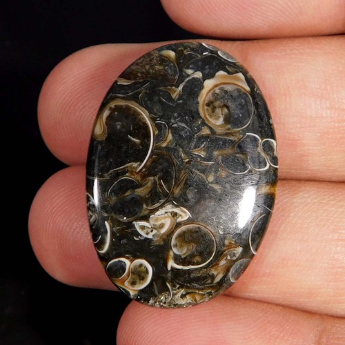 Naturale splendida - 30,00,