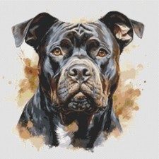 American Bully Puppy Dog opera