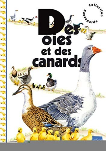 Oche anatre panafieu - e,
