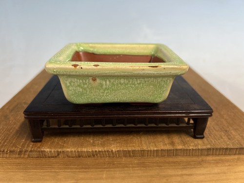 Sconosciuto vaso per - bonsai, di