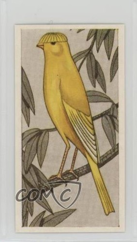 1960 barratt cage - cage, aviary