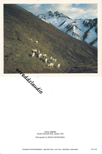 Foto autore rosenberg dall - foto,