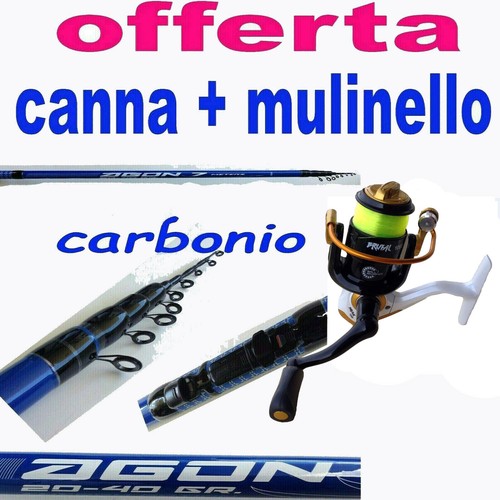 Canna pesca bolognese - canna, in