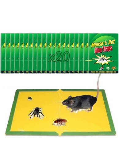 Trappole adesive per topi - trappole,