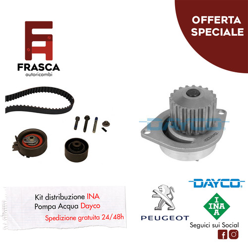 Kit distribuzione ina pompa - ina,