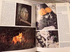 Enciclopedia conoscere - conoscere, la