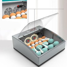 Uovo gallina incubatrice - di,