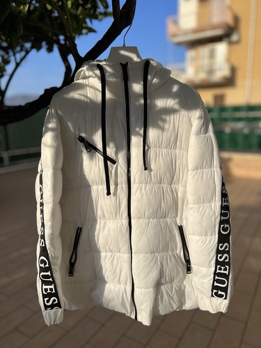 Giubbino guess - giubbino,