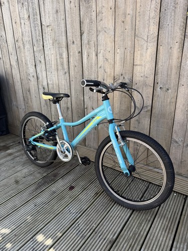 Mountain bike bambina giant - mountain,