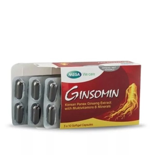 Capsule ginsomin mega we - ginsomin,
