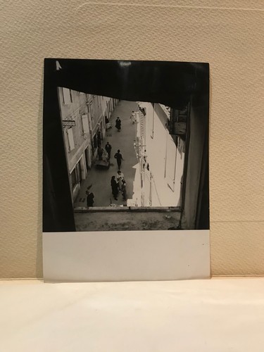 Scorcio muggia italia - di,