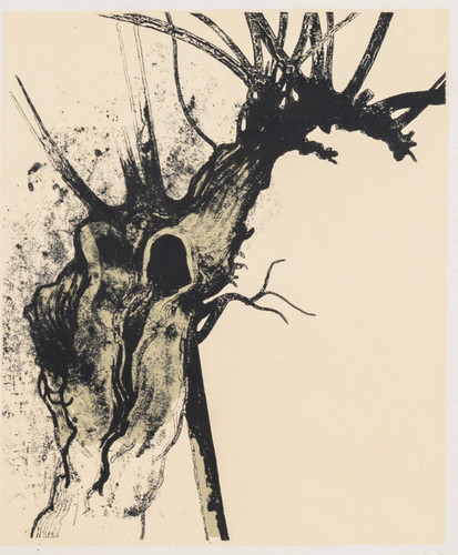 Carlo mattioli albero iv - carlo,