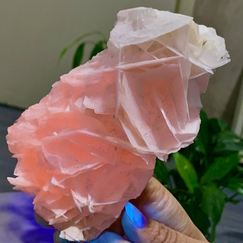 289g petalo calcite - 289g,