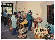 CAR-ACVP20-0982-83 - COGOLIN -