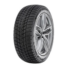 Gomme Invernali Radar 195/55