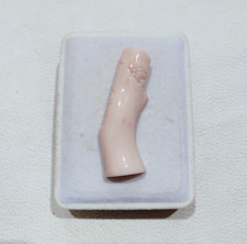 Fiore di corallo naturale