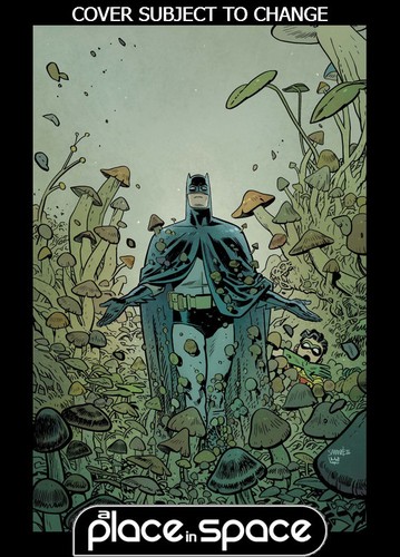 Batman robin year one - year,