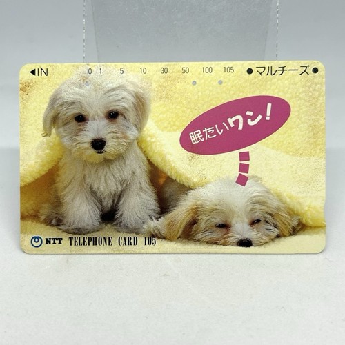 Scheda telefonica cane