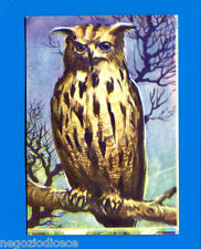 ANIMALI - Lampo 1964 - Figurina-Sticker n. 214 - GUFO REALE -New