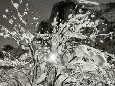 Stampa Ansel Adams Yosemite