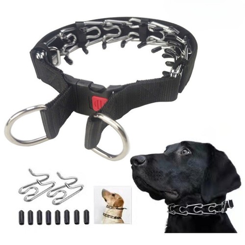 Collare per cani - collare,