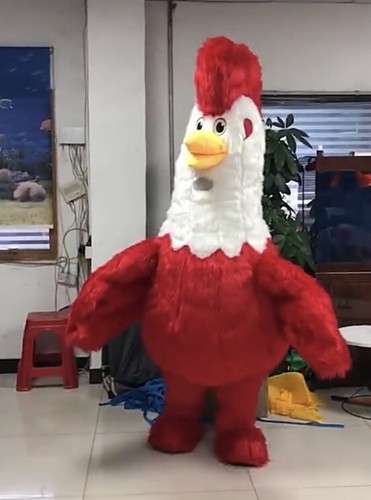 Mascotte gonfiabile gallo - gonfiabile,