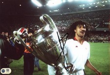 Ruud Gullit Signed 12x8 Photo