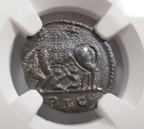 Gemelli lupo costantiniani ngc - lupo,