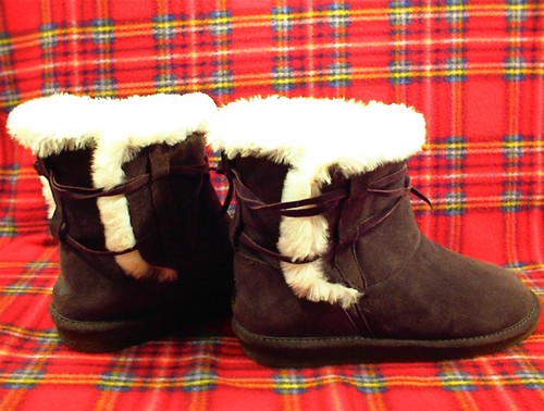 Bearpaw l10 stivale donna - l10,