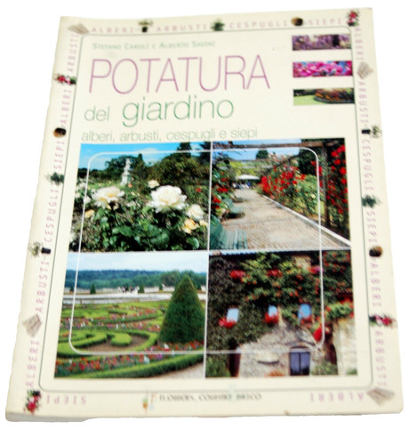 Potatura del giardino - potatura,