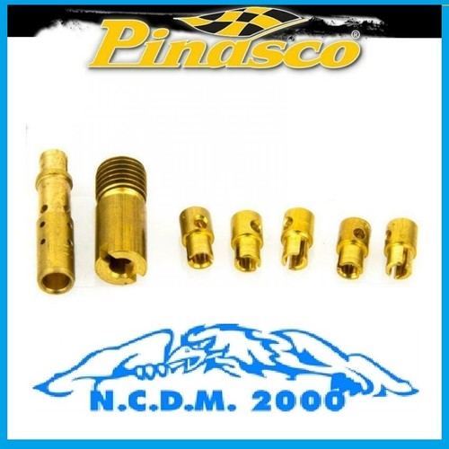 Pinasco getti cicler massimo - getti,