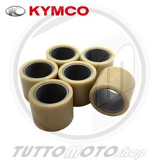 KIT 6 RULLI VARIATORE 17