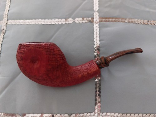 Pipa pipe blowfish - pipa,