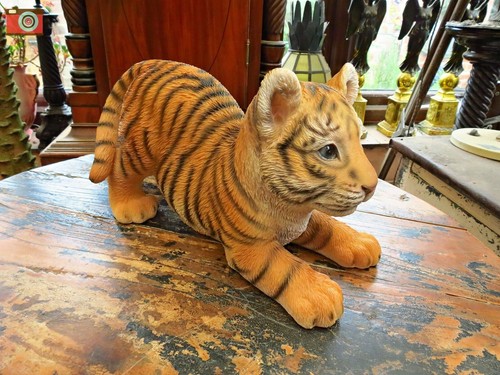 Playful tiger cub vivid - cub,