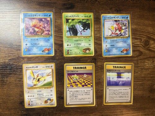 Pokemon eroi palestra - pokemon,