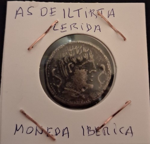 Iltirta lerida - de,