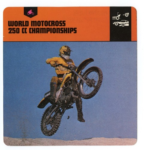 World motocross 250cc gruppo - 250cc,